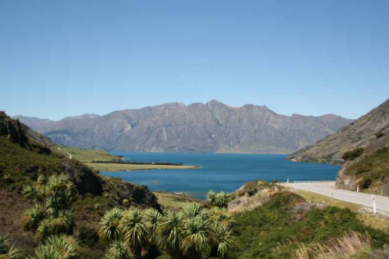 Nieuw-Zeeland 2011 - 1590